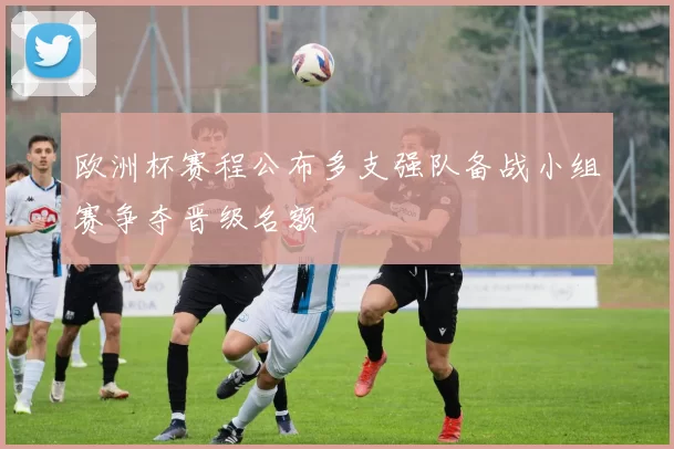 欧洲杯赛程公布多支强队备战小组赛争夺晋级名额