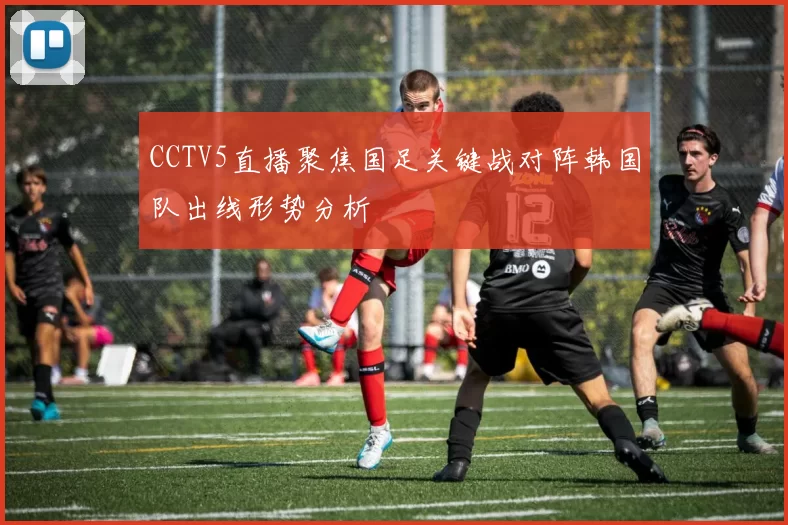 CCTV5直播聚焦国足关键战对阵韩国队出线形势分析