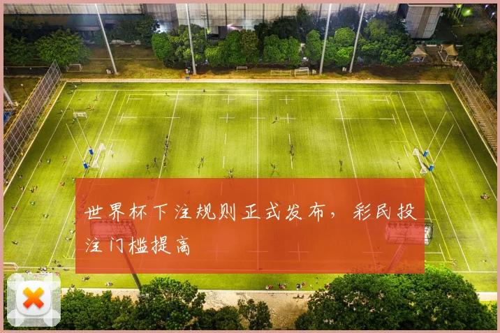 世界杯下注规则正式发布,彩民投注门槛提高