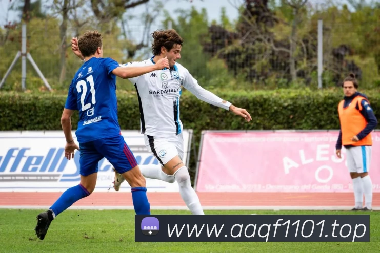 开云(中国)Kaiyun·官方网站 - 登录入口发展历程